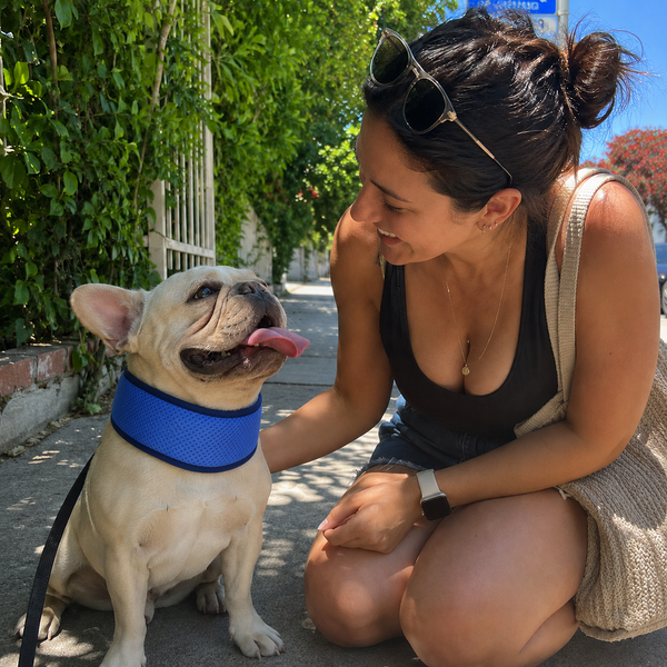 Dog wearing BreezePaws bandana