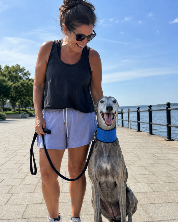 Dog wearing BreezePaws bandana